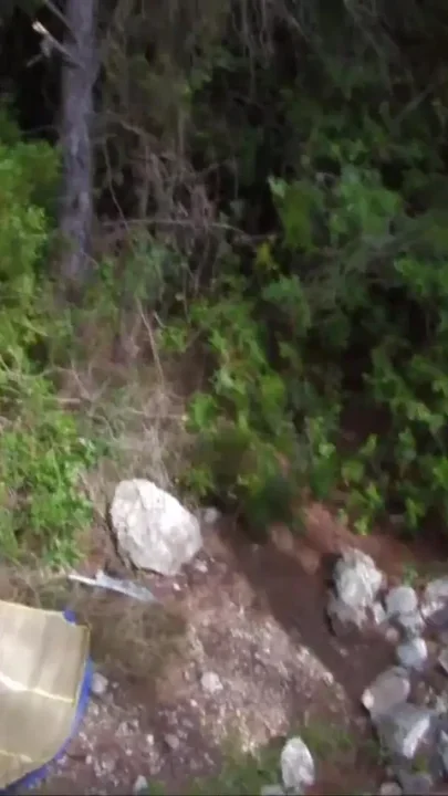 A cute brunette alone in the woods is gangbanged by a group of men cumming on her face
