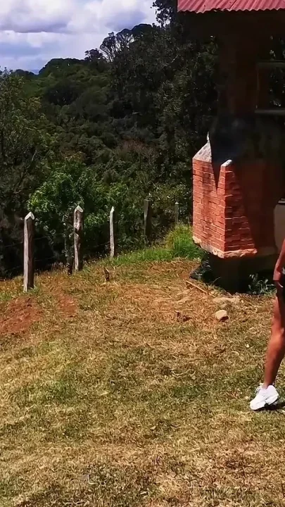 The Cabin