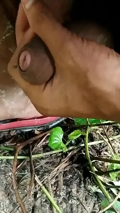 Indian Big Dick Masturbation Sitting in the Garden