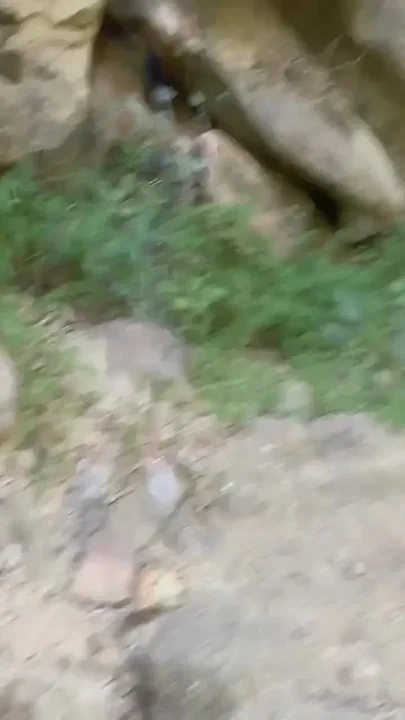 Outdoor Hiking Blowjob