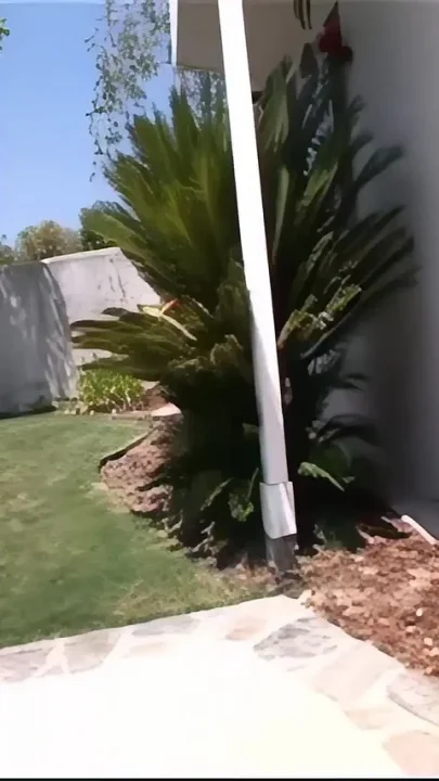 The Young Man with the Big Penis