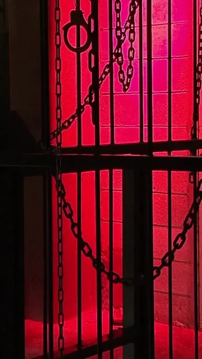 Bound Japanese babe moans during a kinky BDSM session