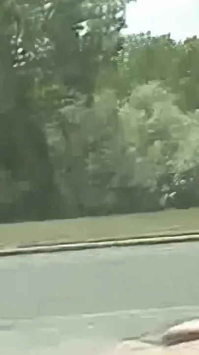 Horny Car Blowjob