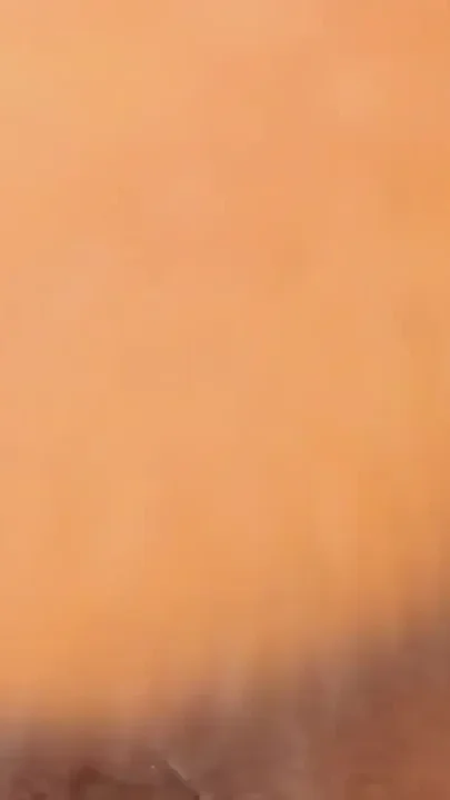 Ebony Big Booty 