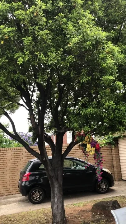 Outside play