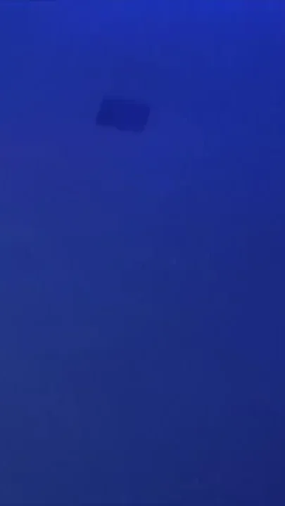 Discreet bottom fucked raw in a sauna by straight boy