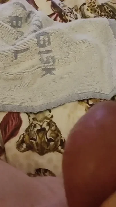 Lying in Bed and Playing with My Cock and Waiting for a Wet Hole to Put My Cock in