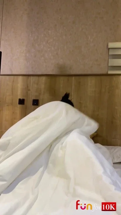 My Ex Boyfriend Came Over for a Quick Fuck Before I Get Married