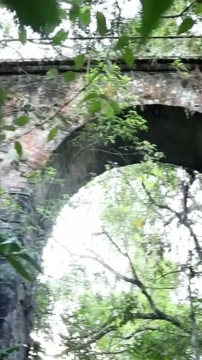 Hiding From People to Have Sex