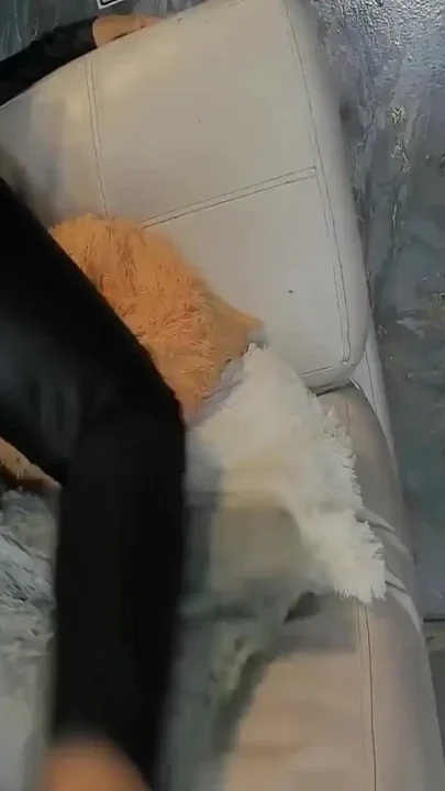 Dildo Fucked in the Ass