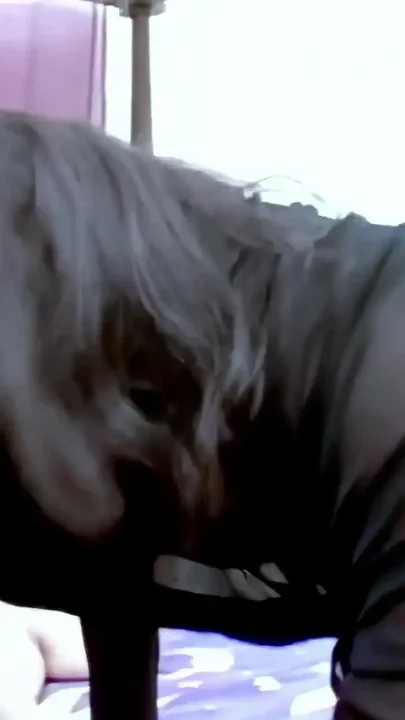 Samantha Cruse Real Hard Action on the Bed
