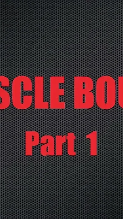 Muscle Bound - Chapter 1