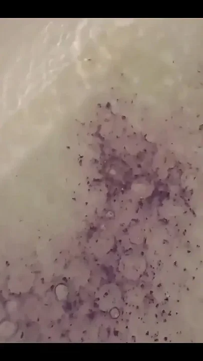 Birthday Sex Party in the Bath
