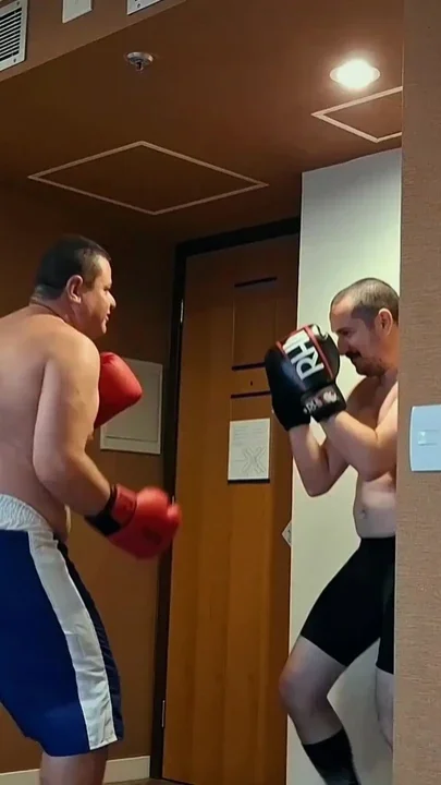 Chubby Bear Boxer Vs Jobber