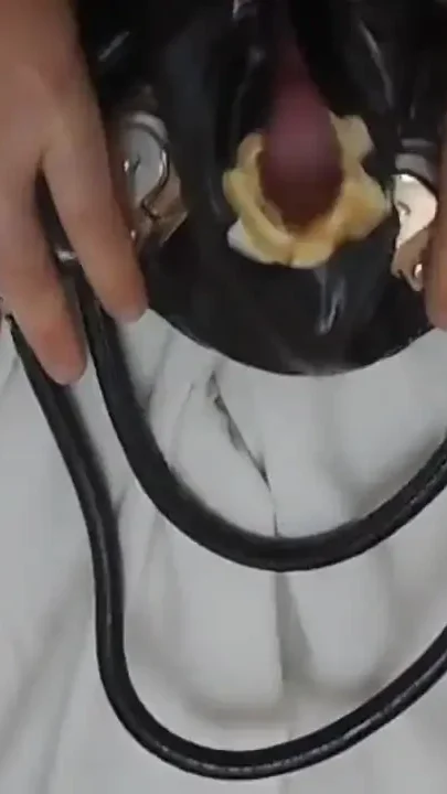Leather jacket and bag gets fucked