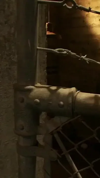 Anal Inmates