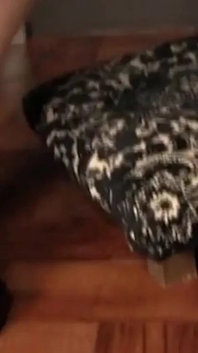 Redhead Deep Throats Gloryhole Dick During Confession