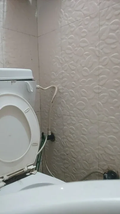 Desi round ass twinks and farts while pissing