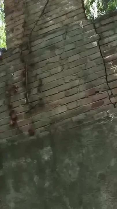 Wild Outdoor Gay Ruins Encounters