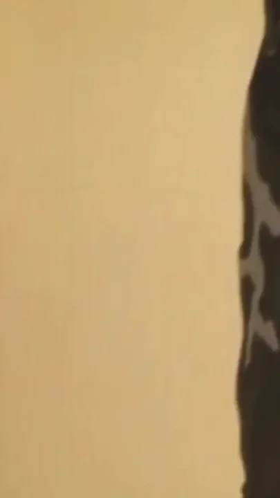 Male Buttocksscene-3horny Soldiers Decide to Fuck Each Other's Asses After Training