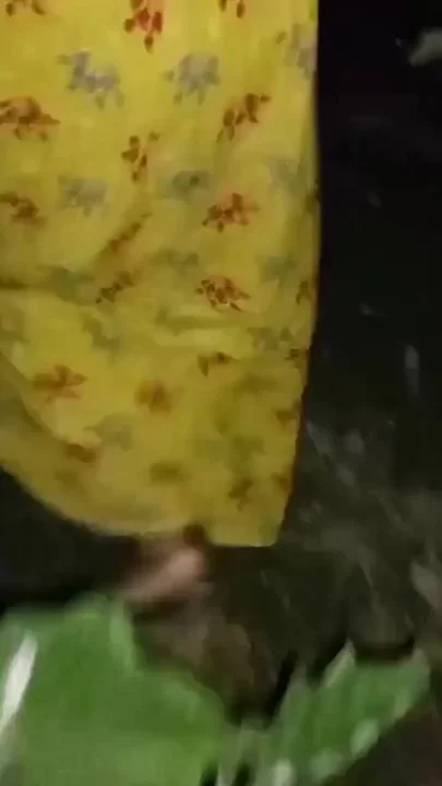 Outdoor My Desi Wife Sex