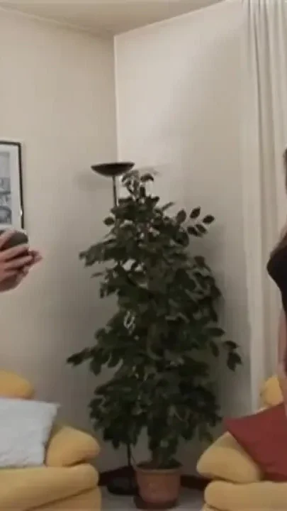 Dirty brunette gets banged and filmed by her young lover while her husband is away