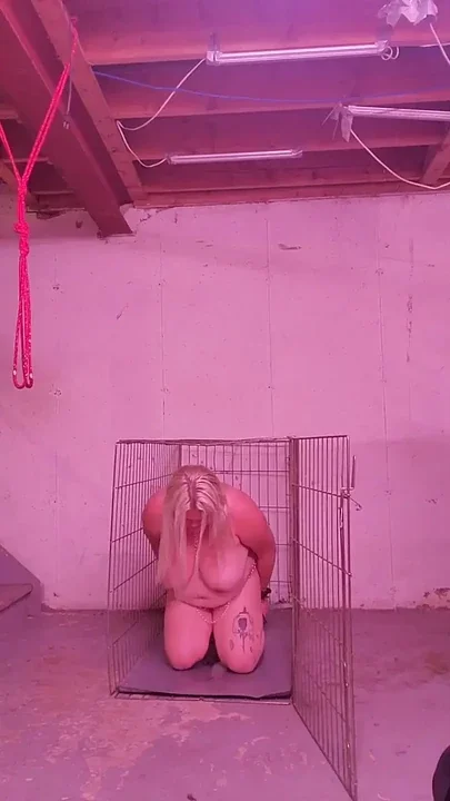 BBW Slave Punished