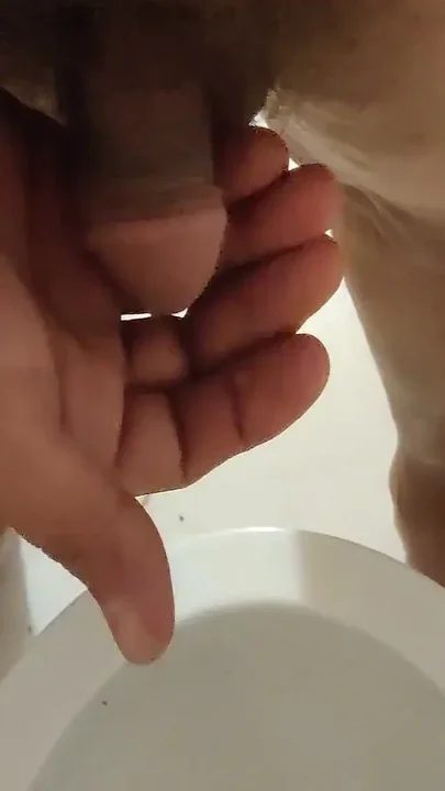 Piss with a Small Dick