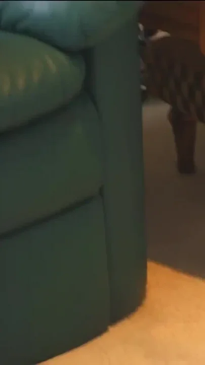 The Sexy Fucker