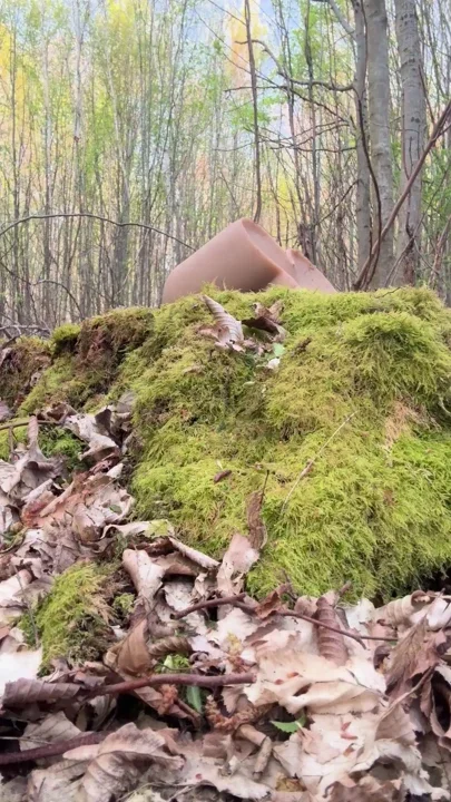 Lost in the forest I fuck my masturbator to stay alive