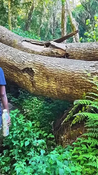 MILF Gets Her Pussy Eaten and Fucked at the River