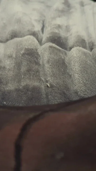 Black Pantyhose Clip 1
