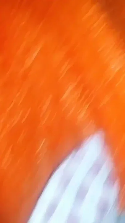 The best sitting Clip 1