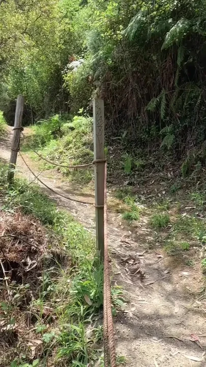 Caught During Risky Masturbation in Nature