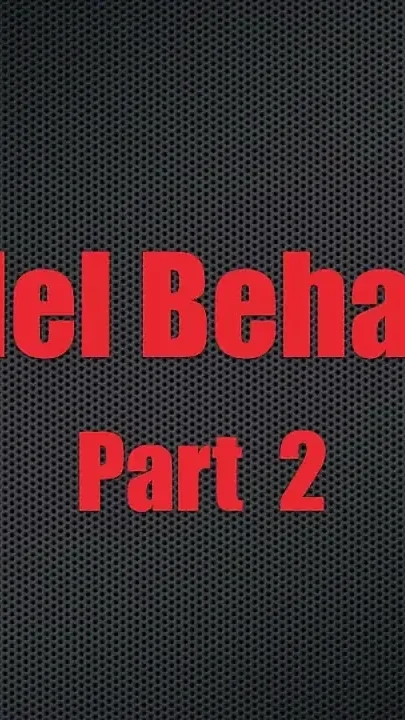 Model behavior - chapter 2