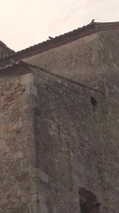 Polka Dot Skirt Babe Fucked Hard in Forest