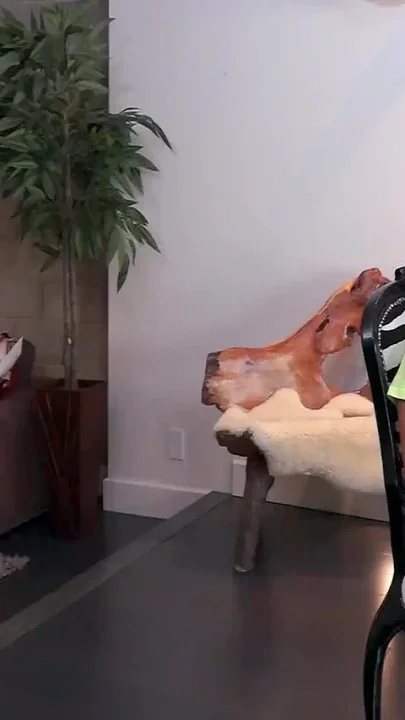Boyfriend comes from work and this teen is already horny