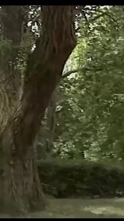 Anal Surprise in the Woods