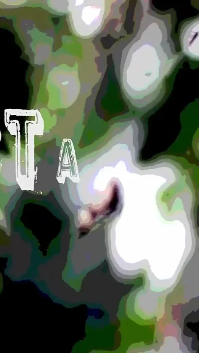 Executrix 2
