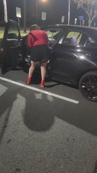 Dropped Something in the Car