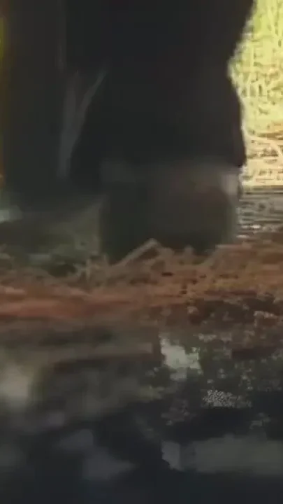 Lesbian Orgasms for Two Blondes in the Barn