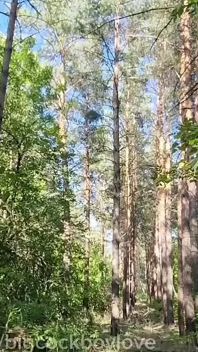 Bareback Fucking Amateur Anal Big Cocks in the Ass Cum Public Park