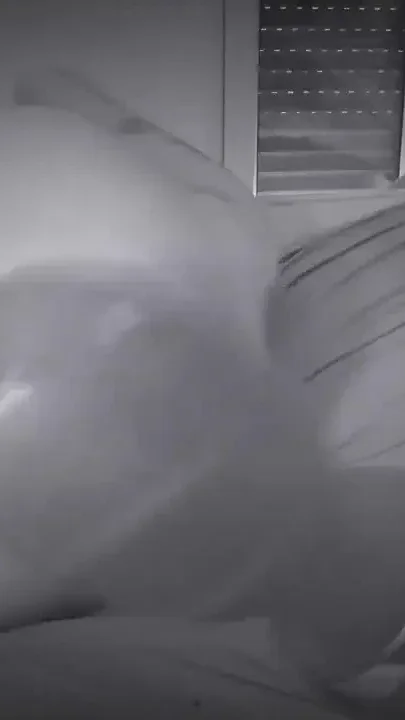 Wife Moaning While Her Holes Are Desecrated Multiple Orgasm