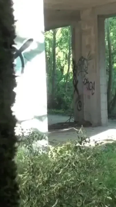Tow pornstr muscle fucking outoor