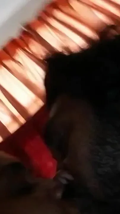 Teasing My Aunty's Puffy Nipples