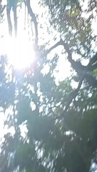 Vlog Sex Shaking Makes Penis Longer