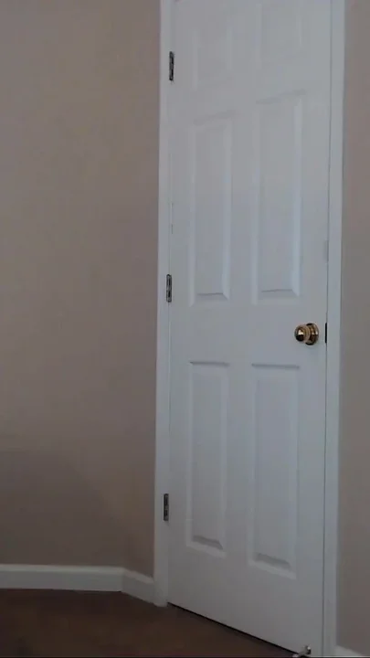 David's Strip N Ass Tease
