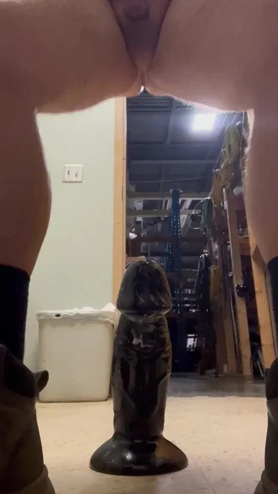 Bear cunt