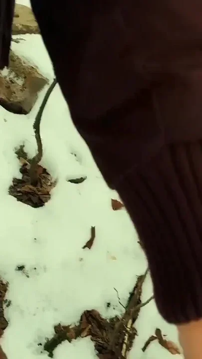 Twink Cums on Big Hairy Ass in the Park