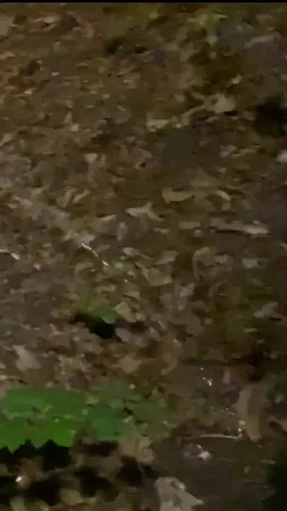 Outdoor Piss Fun Compilation Clip 1